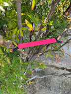 Shine Spine Branch Spreader Bloom Pulse Rose 5inch gardening tool attached to a tree branch with green leaves in the background.