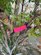 Shine Spine Branch Spreader Bloom Pulse Rose 2inch gardening tool attached to a tree branch with green leaves in the background.