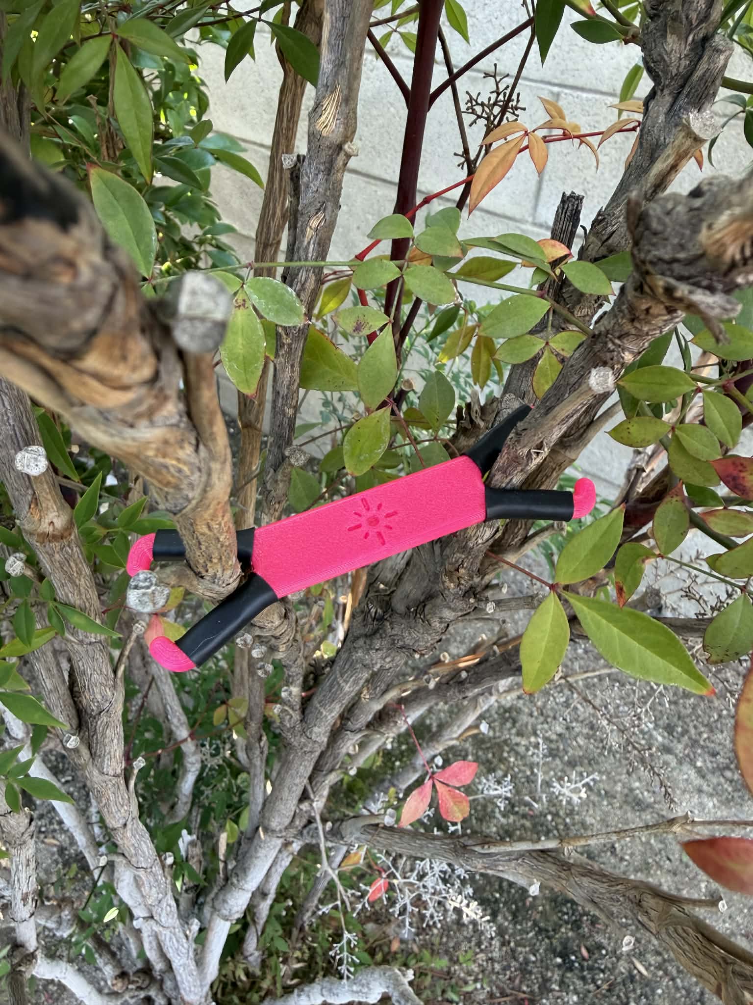 Shine Spine Branch Spreader Bloom Pulse Rose 2inch gardening tool attached to a tree branch with green leaves in the background.