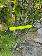 Shine Spine Branch Spreader Photon Burst Yellow 5inch gardening tool attached to a tree branch with green leaves in the background.