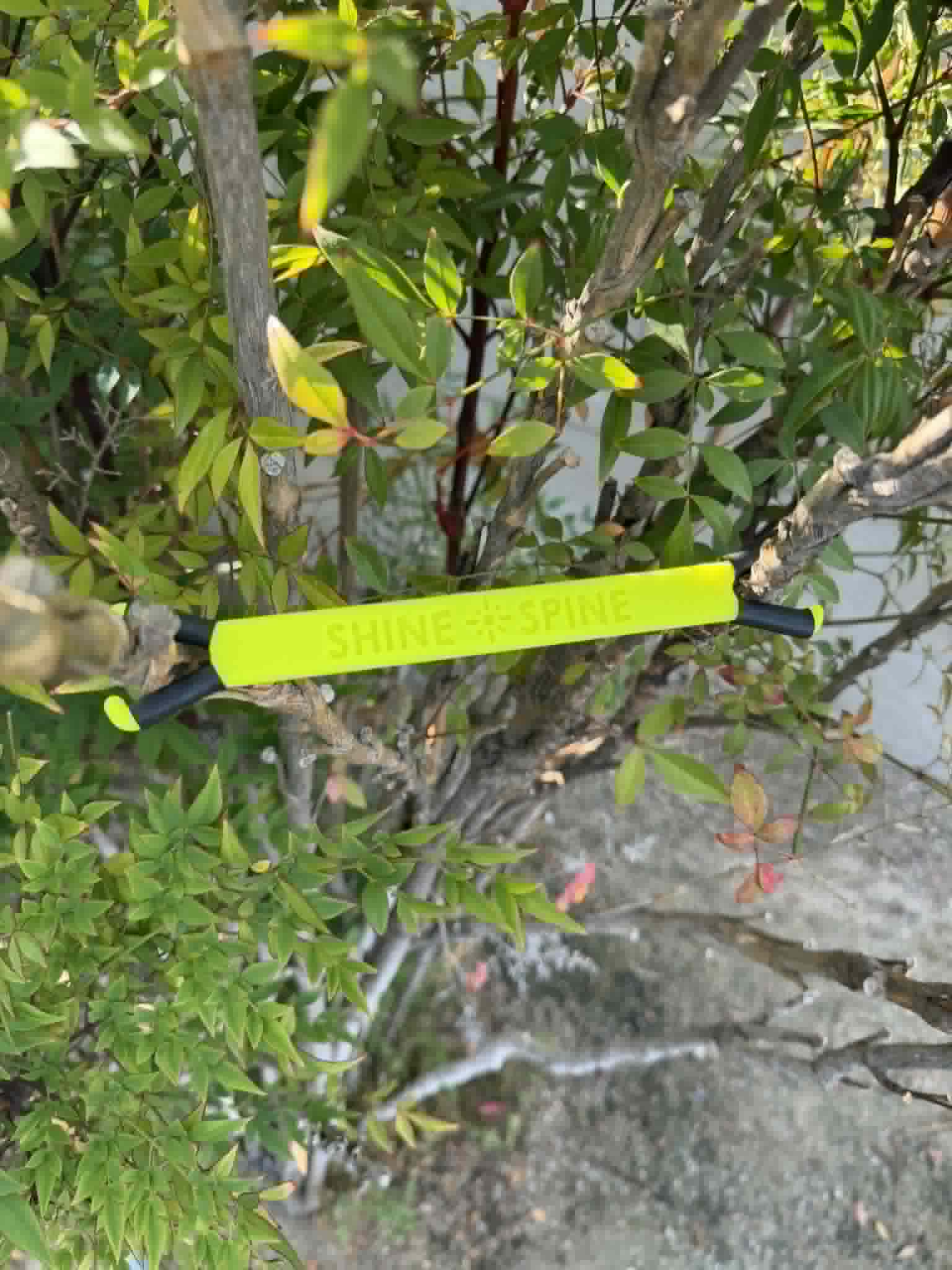 Shine Spine Branch Spreader Photon Burst Yellow 5inch gardening tool attached to a tree branch with green leaves in the background.