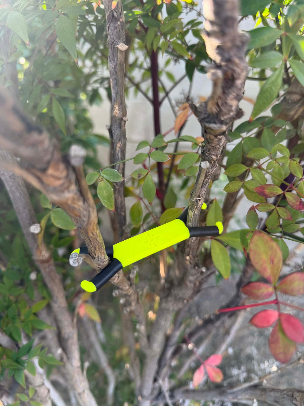 Shine Spine Branch Spreader Photon Burst Yellow 2inch gardening tool attached to a tree branch with green leaves in the background.