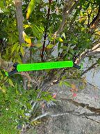 Shine Spine Branch Spreader Radiant Grove Green 5inch gardening tool attached to a tree branch with green leaves in the background.