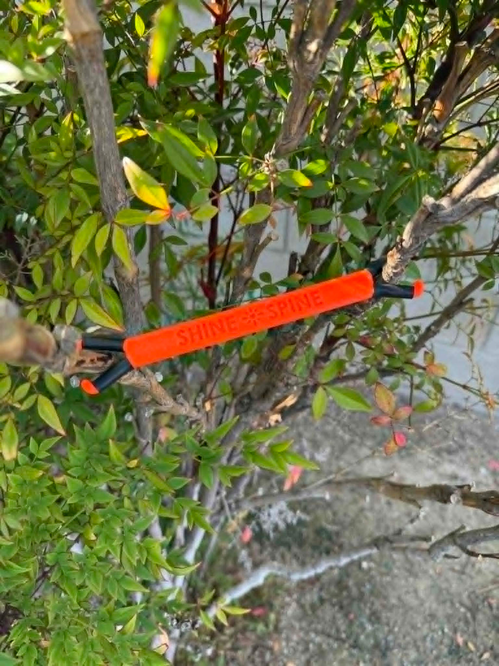 Shine Spine Branch Spreader Solar Ember Orange 5inch gardening tool attached to a tree branch with green leaves in the background.