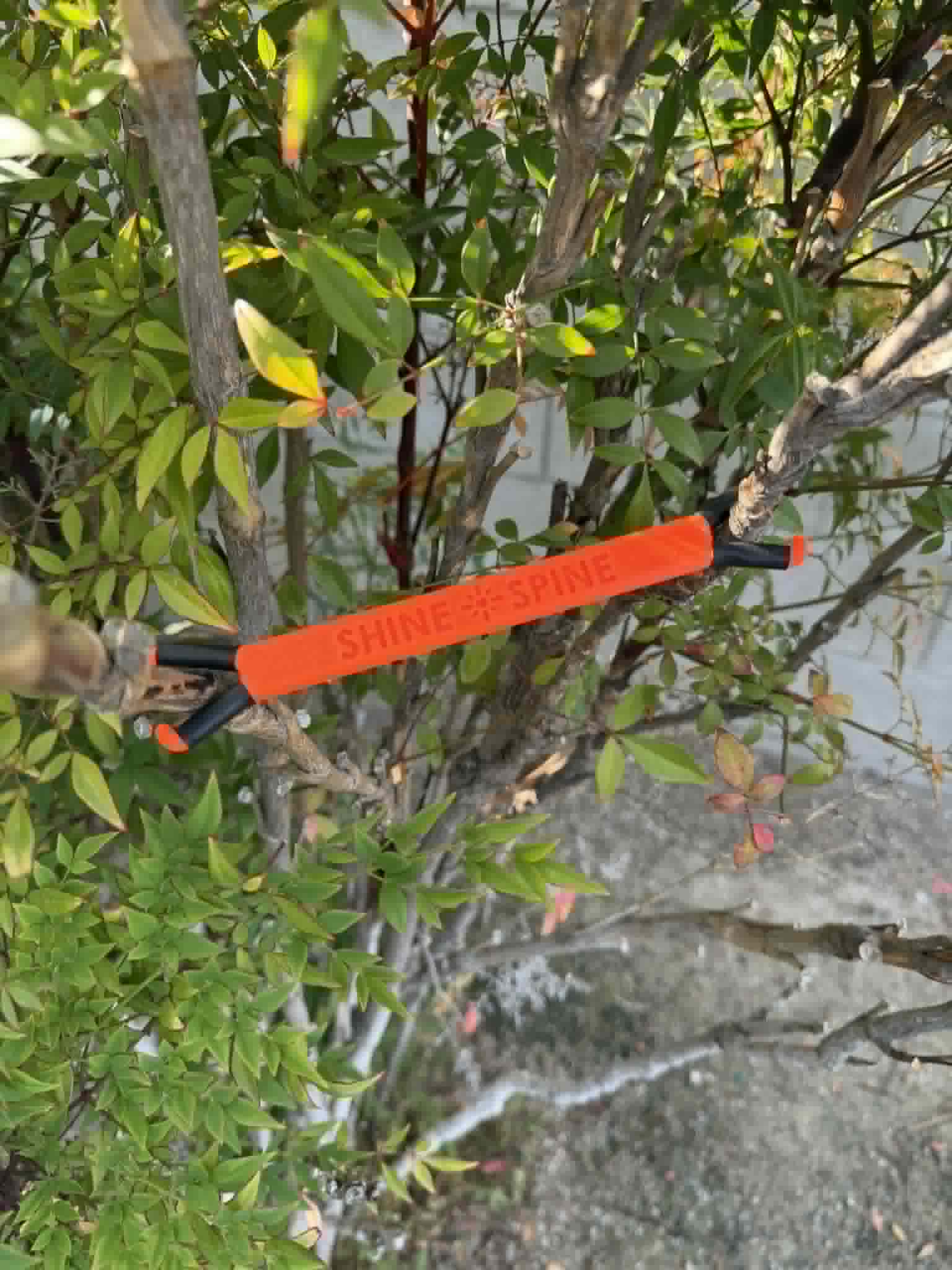 Shine Spine Branch Spreader Solar Ember Orange 5inch gardening tool attached to a tree branch with green leaves in the background.