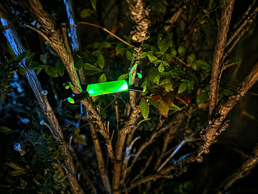 Green Shine Spine Branch Spreader under UV Light in a bush